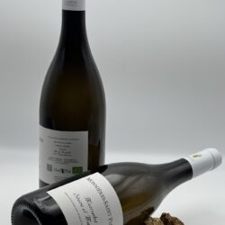 MONNIÈRES SAINT-FIACRE 2023
