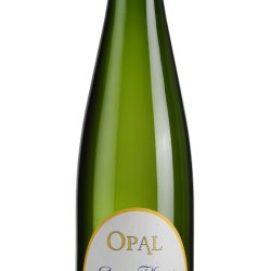 OPAL 2023